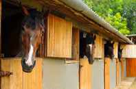 free Gaunts Common stable construction quotes